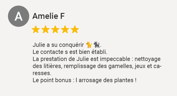 Avis Google
