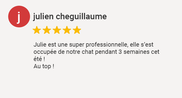 Avis Google