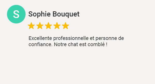Avis Google